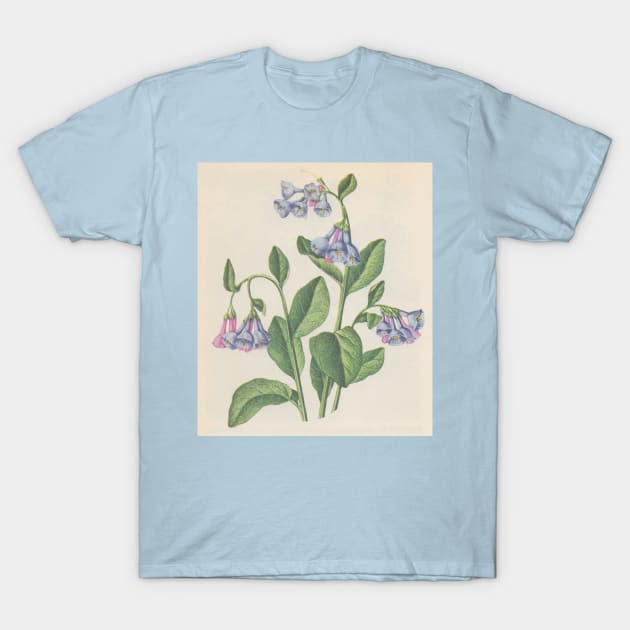 bluebell T-Shirt by saoirse casey
